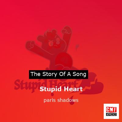 Stupid Heart – paris shadows