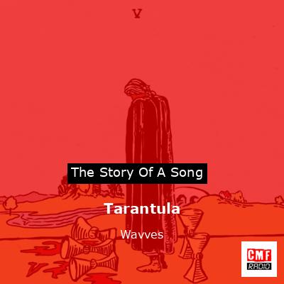 Tarantula – Wavves