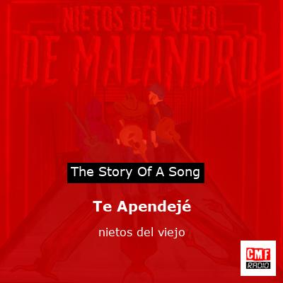 Te Apendejé – nietos del viejo