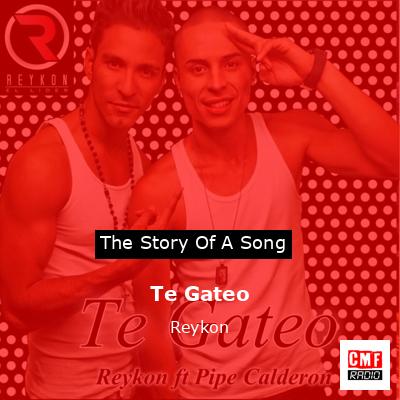 Te Gateo – Reykon