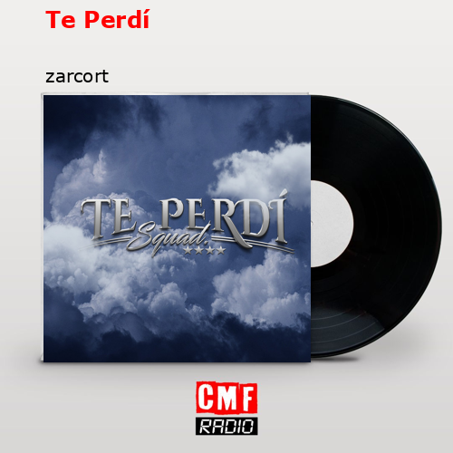 Te Perdí – zarcort