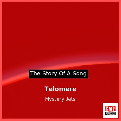 Telomere – Mystery Jets