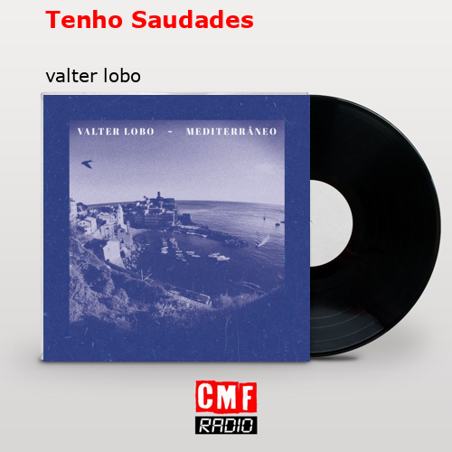 Tenho Saudades – valter lobo