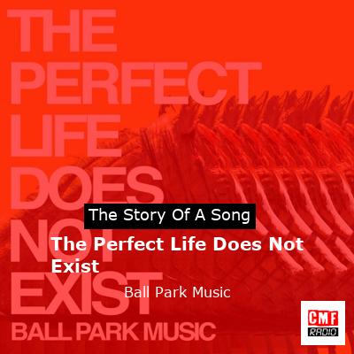 The Perfect Life Does Not Exist – Ball Park Music