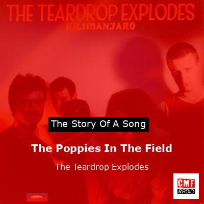 The Poppies In The Field – The Teardrop Explodes