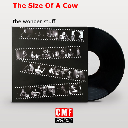 final cover The Size Of A Cow the wonder stuff