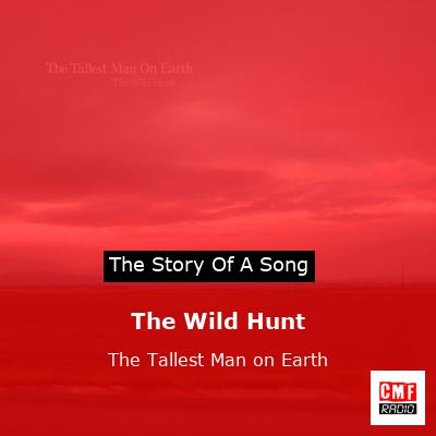 The Wild Hunt – The Tallest Man on Earth