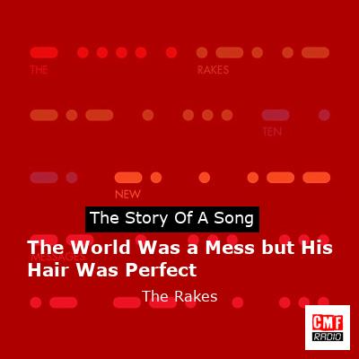 final cover The World Was a Mess but His Hair Was Perfect The Rakes