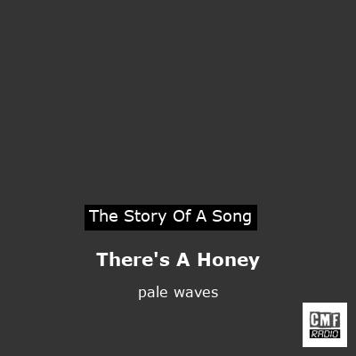 final cover Theres A Honey pale waves