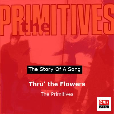 final cover Thru the Flowers The Primitives