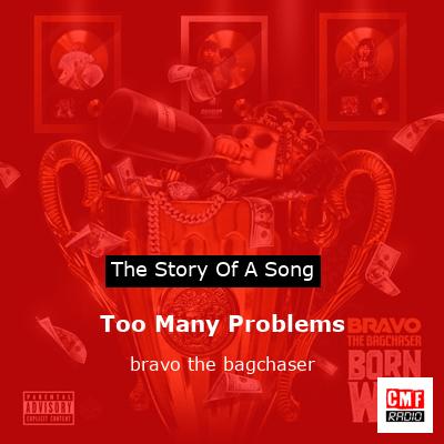 final cover Too Many Problems bravo the bagchaser