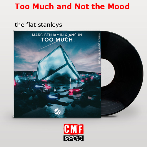 Too Much and Not the Mood – the flat stanleys
