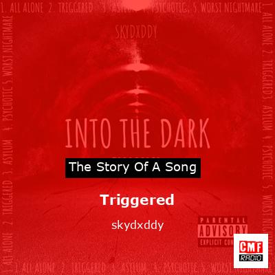 Triggered – skydxddy