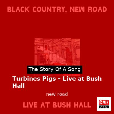 Turbines Pigs – Live at Bush Hall – new road