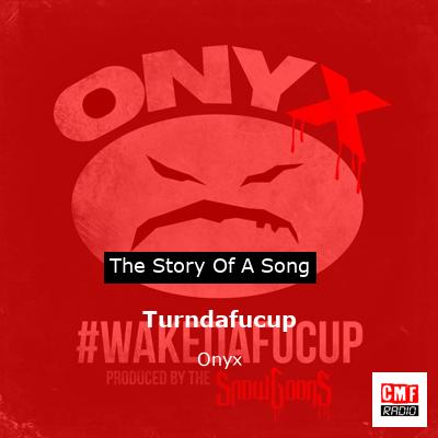 Turndafucup – Onyx