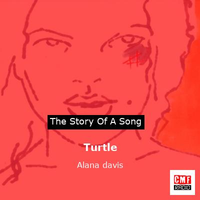 Turtle – Alana davis