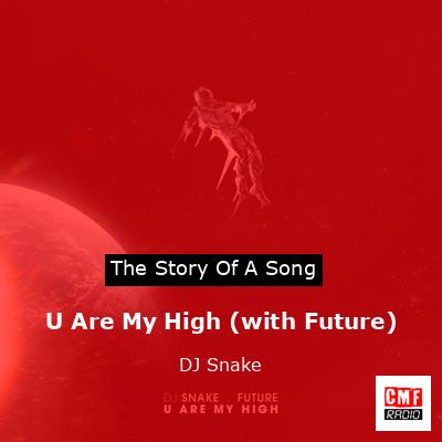 U Are My High (with Future) – DJ Snake