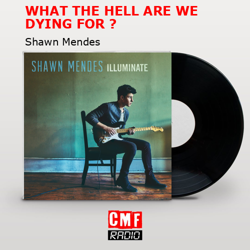 WHAT THE HELL ARE WE DYING FOR ? – Shawn Mendes