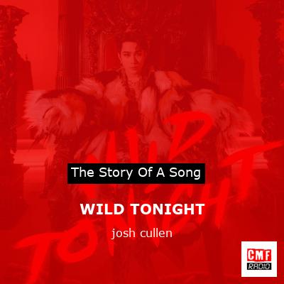 WILD TONIGHT – josh cullen