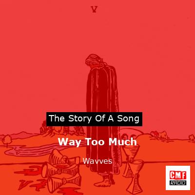 Way Too Much – Wavves