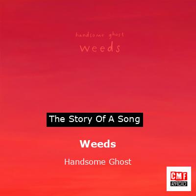 Weeds – Handsome Ghost