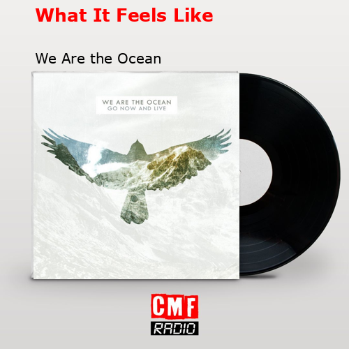 What It Feels Like – We Are the Ocean