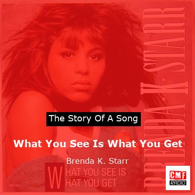 What You See Is What You Get – Brenda K. Starr