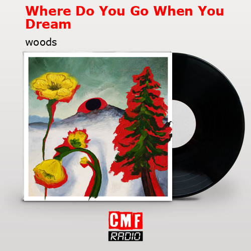 Where Do You Go When You Dream – woods