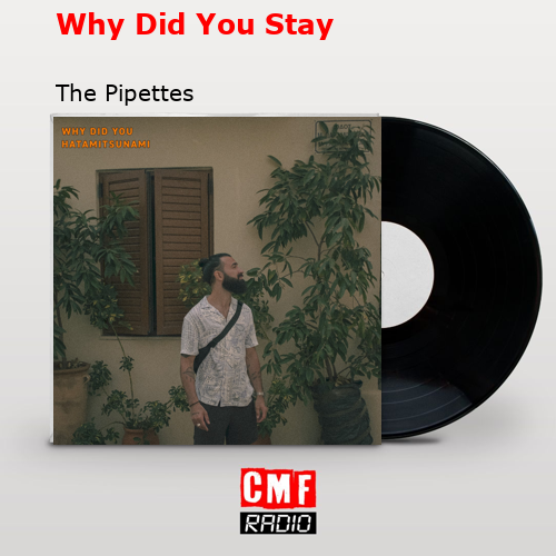 Why Did You Stay – The Pipettes