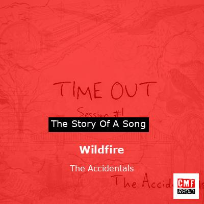 Wildfire – The Accidentals