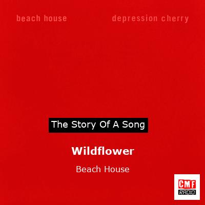 final cover Wildflower Beach House
