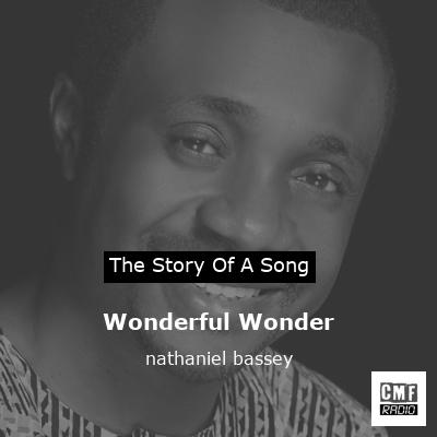 Wonderful Wonder – nathaniel bassey