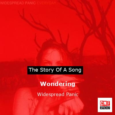 Wondering – Widespread Panic