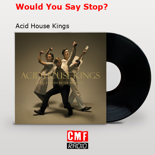 Would You Say Stop? – Acid House Kings