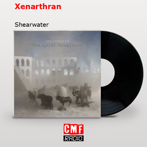 final cover Xenarthran Shearwater