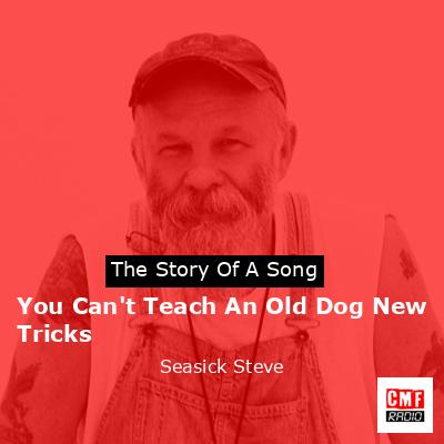 You Can’t Teach An Old Dog New Tricks – Seasick Steve