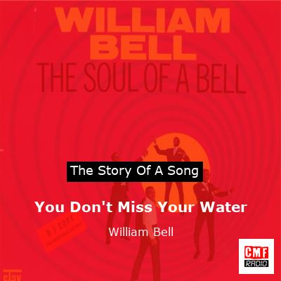final cover You Dont Miss Your Water William Bell