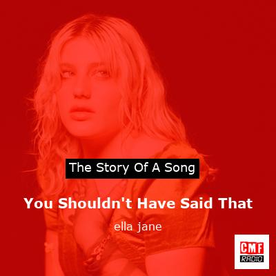 You Shouldn’t Have Said That – ella jane