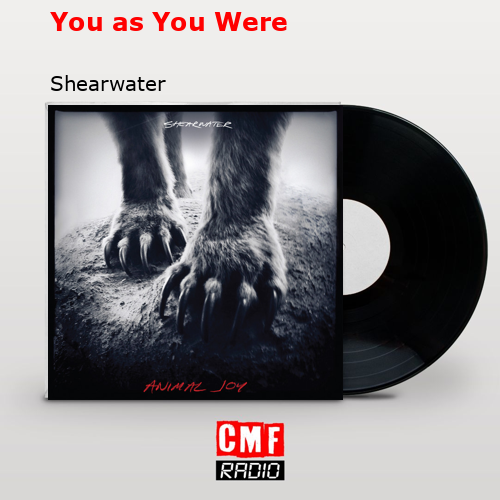 final cover You as You Were Shearwater