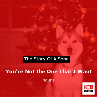 You’re Not the One That I Want – nouns
