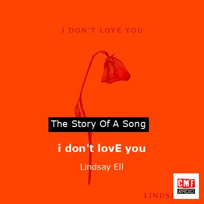 final cover i dont lovE you Lindsay Ell