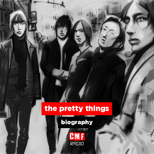 the pretty things – biography