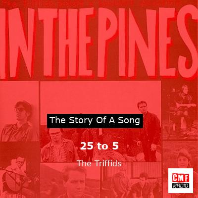 25 to 5 – The Triffids