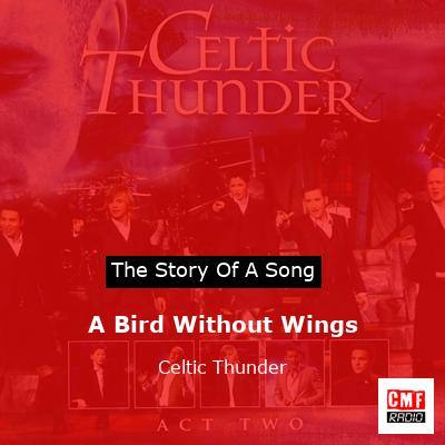 final cover A Bird Without Wings Celtic Thunder