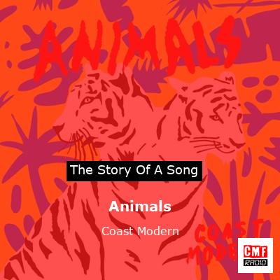 Animals – Coast Modern