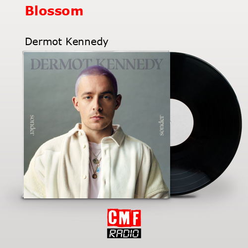 Blossom – Dermot Kennedy