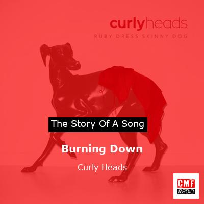 Burning Down – Curly Heads