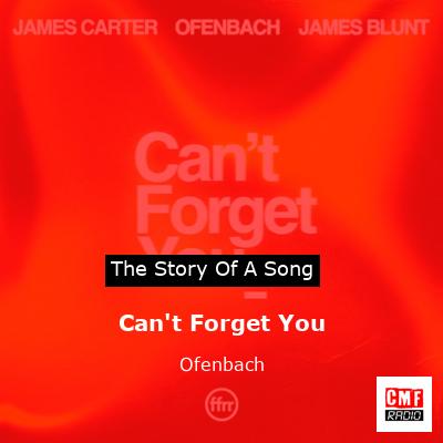 final cover Cant Forget You Ofenbach