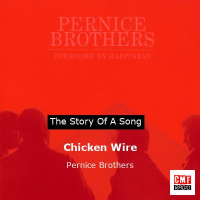 Chicken Wire – Pernice Brothers