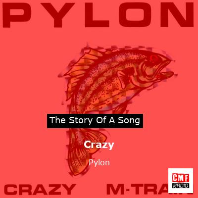 final cover Crazy Pylon